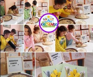 tunceli-kreş-anaokulu-gündüzbakımevi (11)